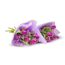 Kytice tulipánů